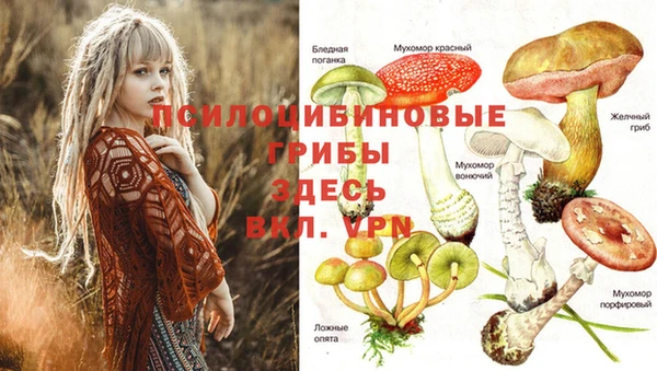бутират Баксан