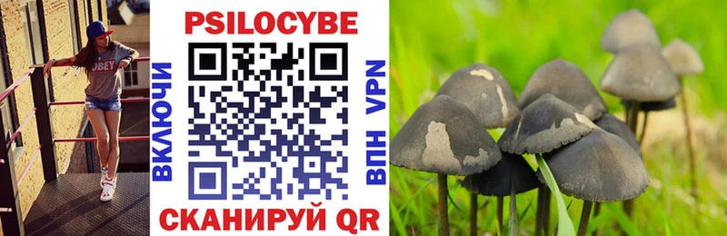 blacksprut как зайти  сайты даркнета официальный сайт  Псилоцибиновые грибы Psilocybe  Кувандык 